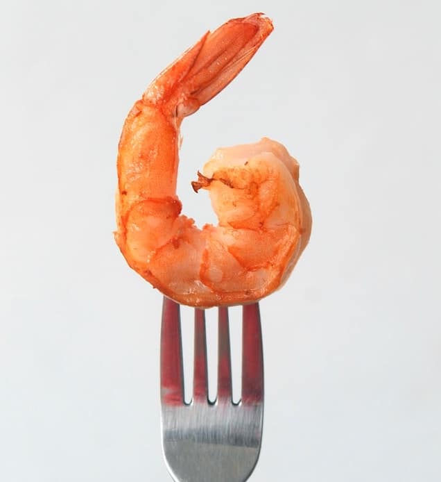 Shrimp on a fork